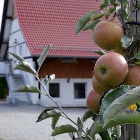 Ferienhof Waggershauser FDH Exterior foto